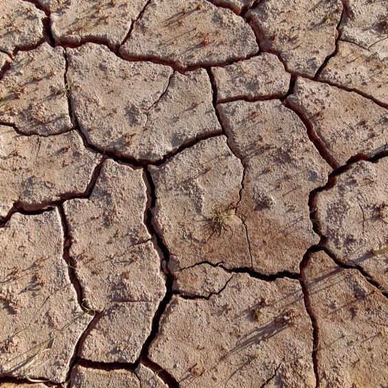 tierra seca en un desierto